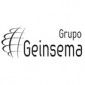 Grupo Geinsema